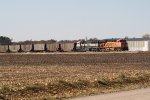 BNSF 6081 & 9823 west